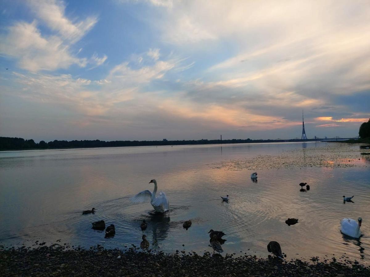 Jauks Dzivoklis Ar Skaistu Skatu Uz Daugavu Căn hộ